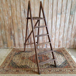 Dark Ladder