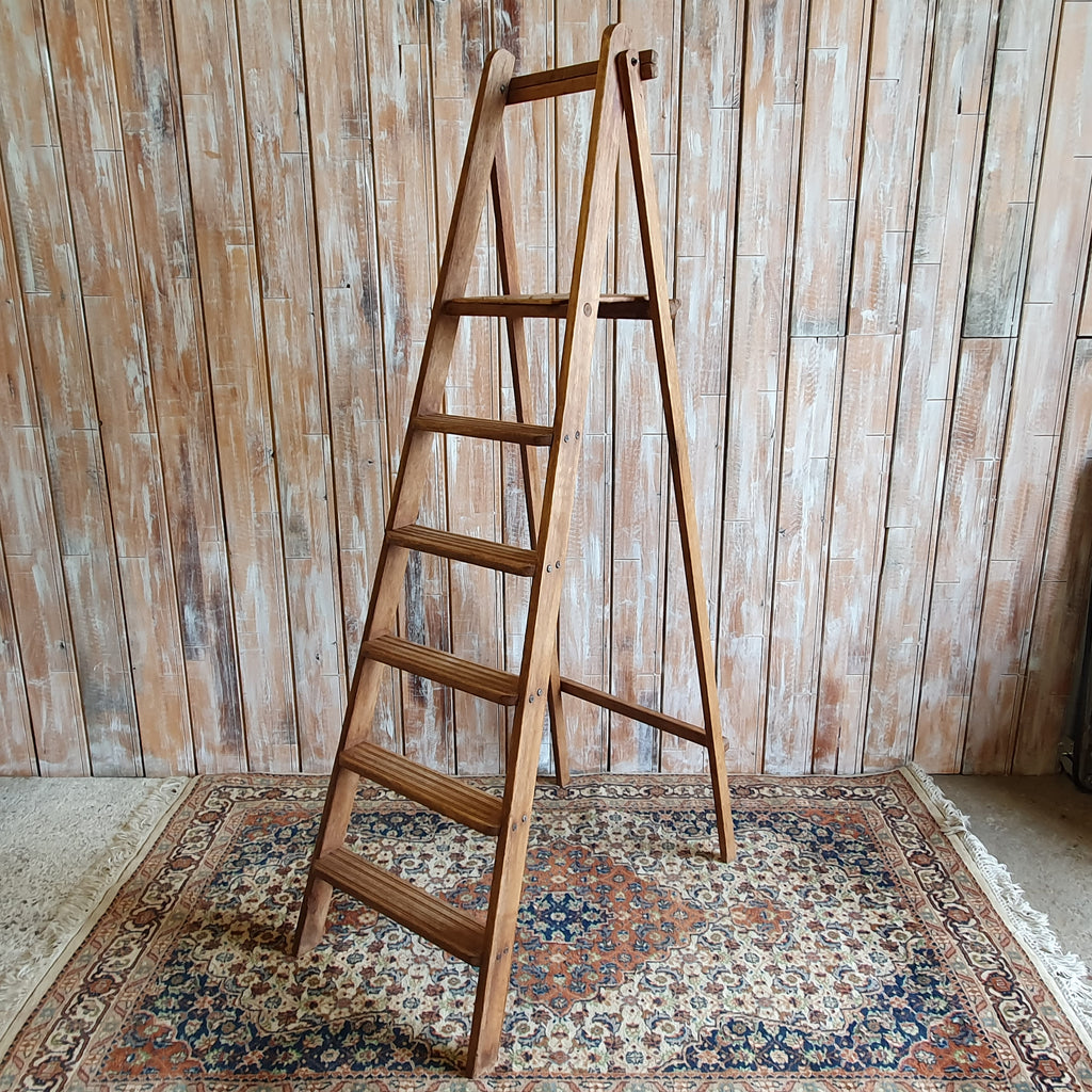 Brown Ladder
